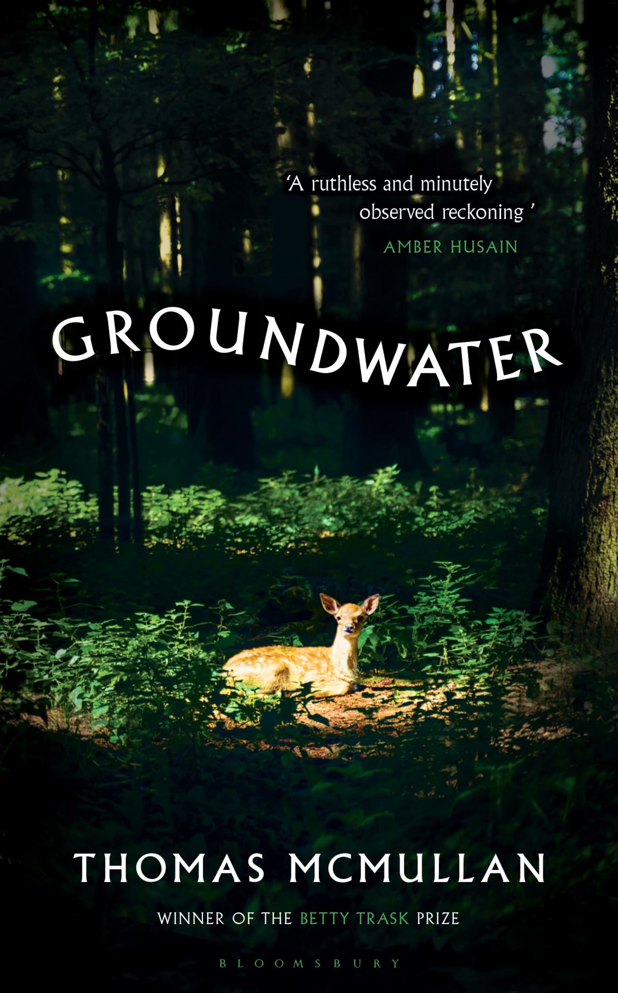 Groundwater: 'Complex, chilling, masterful' Financial Times