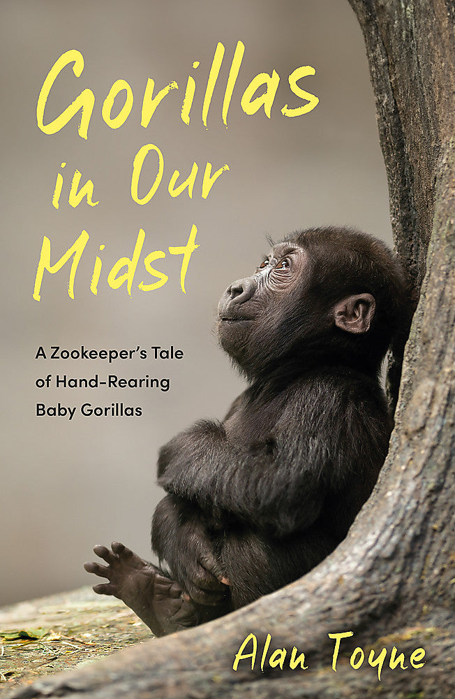 Gorillas in Our Midst