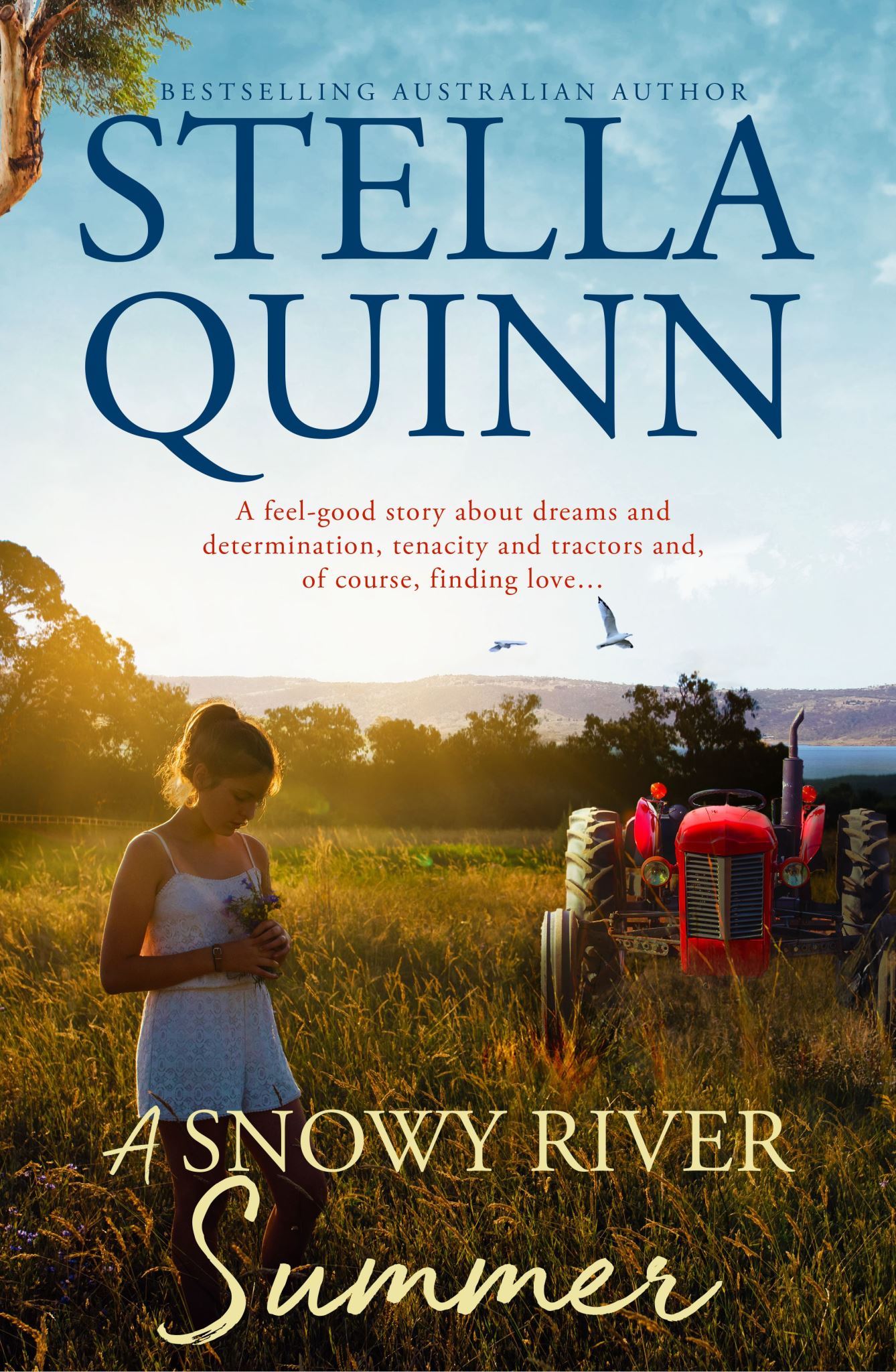 A Snowy River Summer