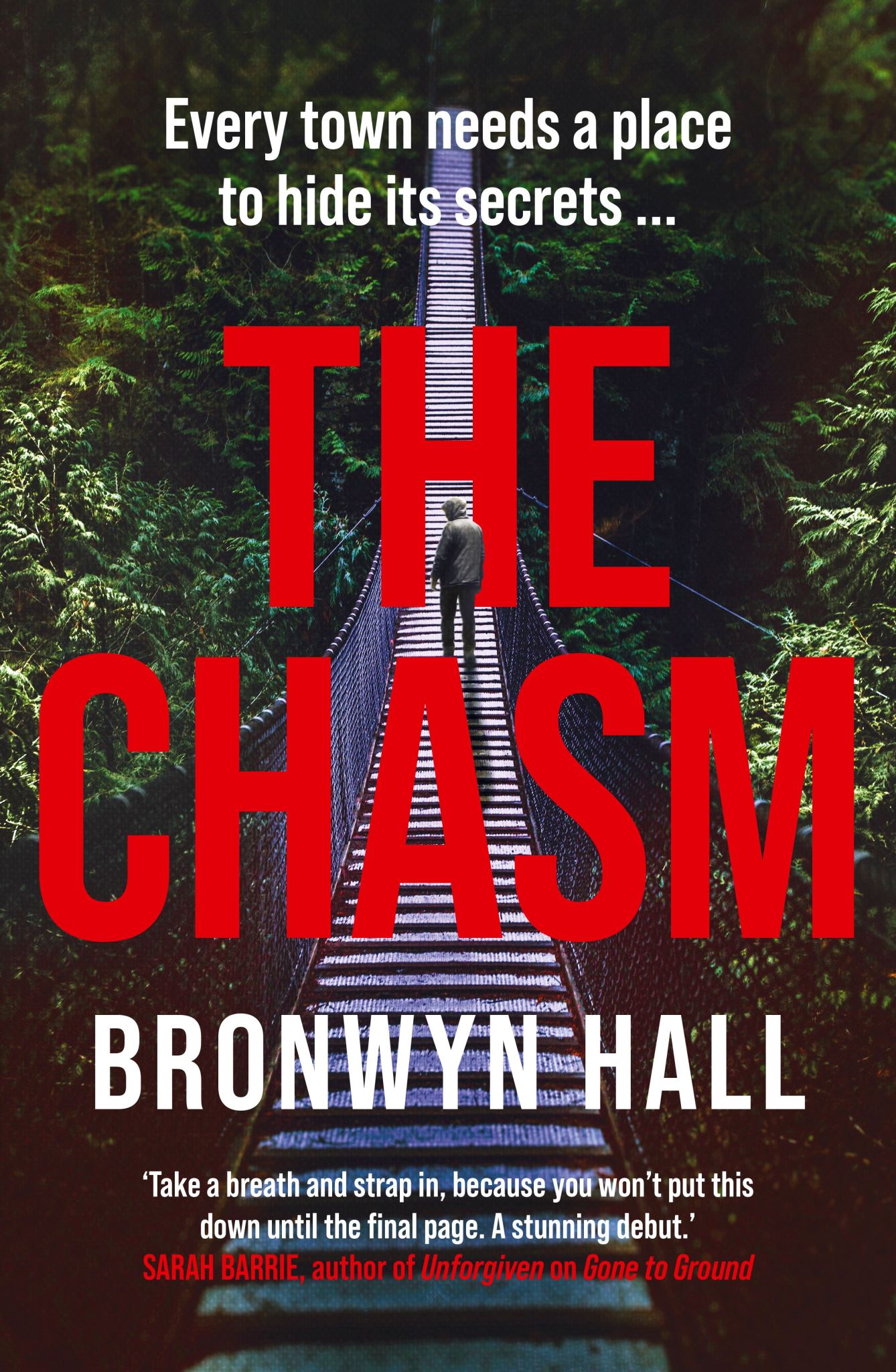 The Chasm