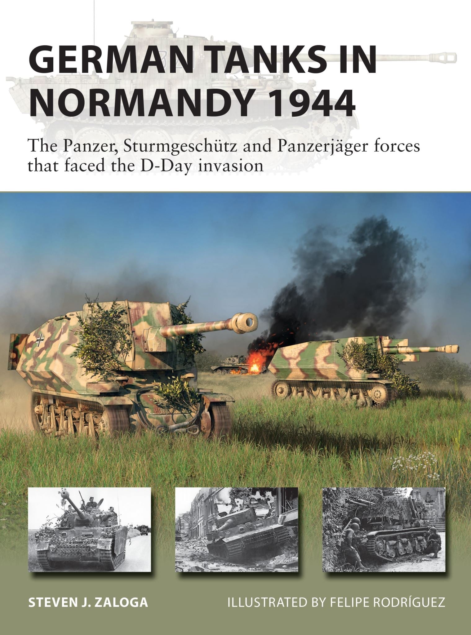 German Tanks in Normandy 1944: The Panzer, Sturmgeschutz and Panzerjager forces
