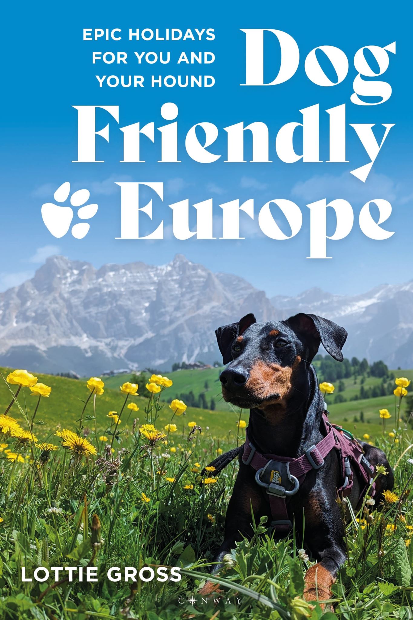 Dog-Friendly Europe: Epic holidays for you and your hound
