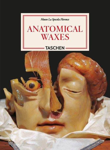 Anatomical Waxes
