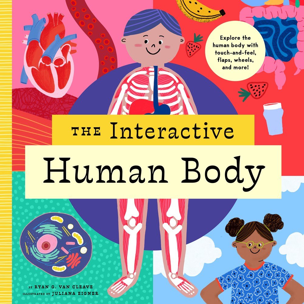 The Interactive Human Body