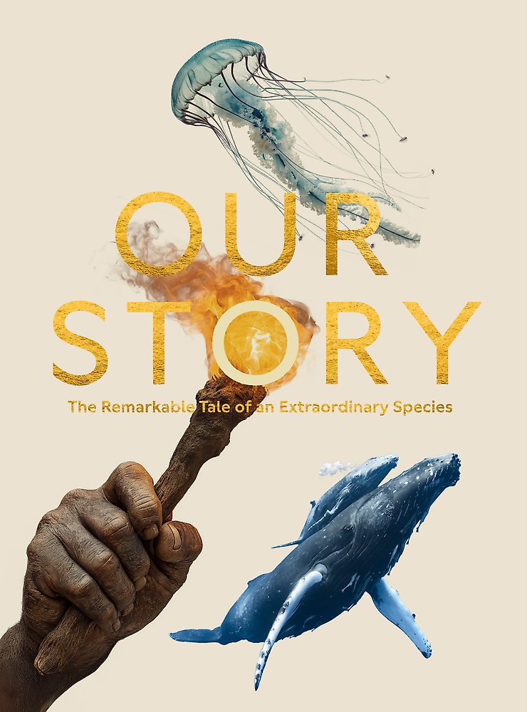 Our Story