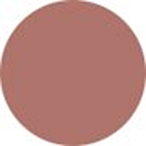 Chanel Rouge Coco Flash Hydrating Vibrant Shine Lip Colour - # 54 Boy 3g/0.1oz