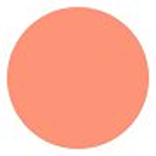 Shiseido ColorGel LipBalm - # 112 Tiger Lily 2g/0.07oz