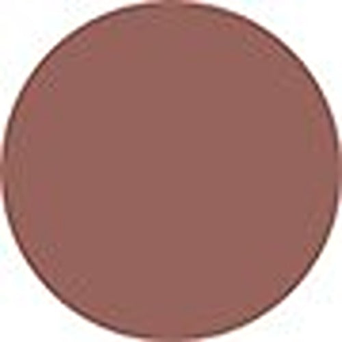 MAC Retro Matte Liquid Lipcolour - # 121 Burnt Spice (Creamy Dirty Rose) (Matte)
