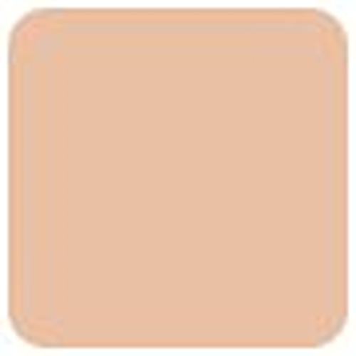 Clarins Everlasting Concealer - # 02.5 Medium 12ml/0.4oz