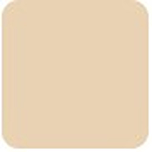 Clinique Stay Matte Powder Oil Free - No. 17 Stay Golden 7.6g/0.27oz