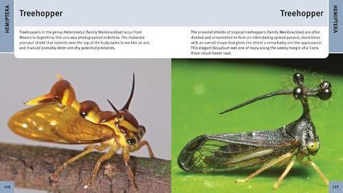 500 Insects - Nature Book - by Stephen A. Marshall - Paperback