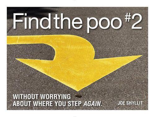 Find the Poo #2 - by Joe Shyllit - Hardcover