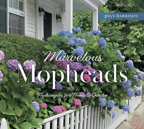 Marvelous Mopheads - by Joan Harrison - Hardcover