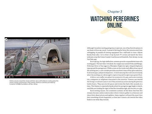 The Peregrine Falcon - by Jim Wright - Hardcover