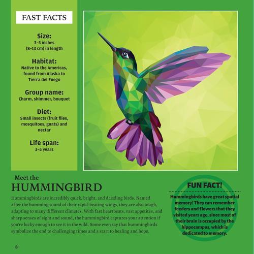 Ultimate Animal Kingdom Sticker Painting - Nature Book - by Michael O'Dell
