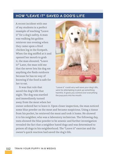 Train Your Puppy in 8 Weeks - by Charlotte Schwartz - Paperback