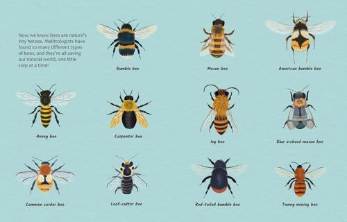 Are Bees Natures Tiny Heroes - Children's Book - by Eliza Jeffery - Hardcover