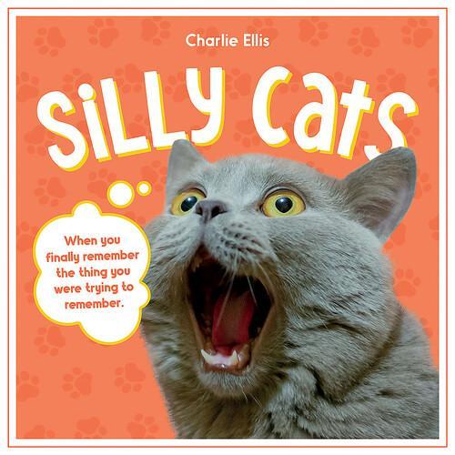 Silly Cats - by Charlie Ellis - Hardcover