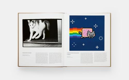 Cat - Hardcover