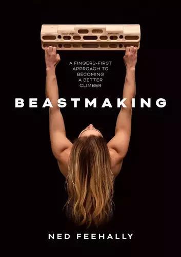 Beastmaking - by Ned Feehally - Paperback