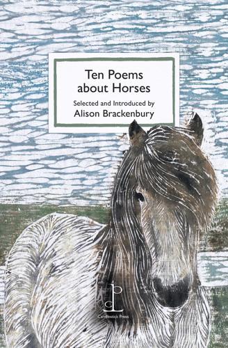 Ten Poems about Horses - Poetry Book - by Alison Brackenbury - Paperback