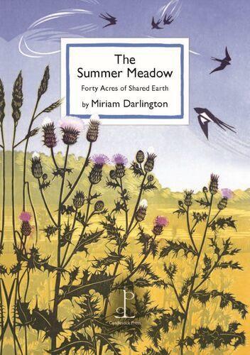 The Summer Meadow - by Miriam Darlington - Paperback