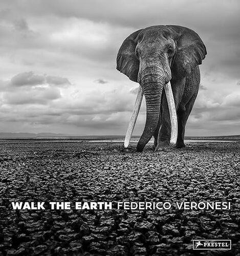 Walk the Earth - by Federico Veronesi - Hardcover