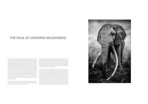 Walk the Earth - by Federico Veronesi - Hardcover