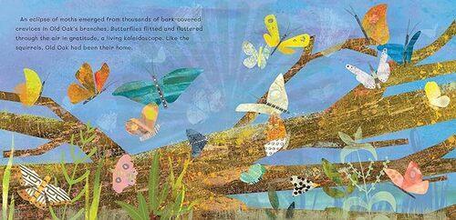 Thank You Old Oak - Children's Book - Hardcover
