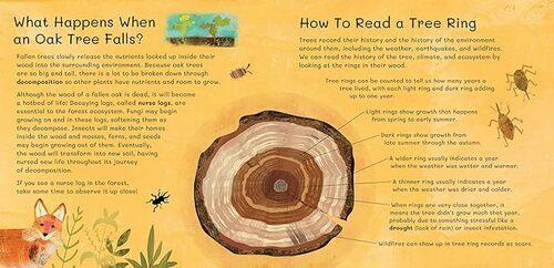 Thank You Old Oak - Children's Book - Hardcover