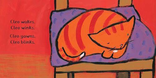 Barefoot Baby Proof Cleo Finds a Friend - Paperback