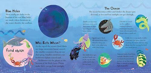 Barefoot Baby Proof A Hole in the Bottom of the Sea - Paperback