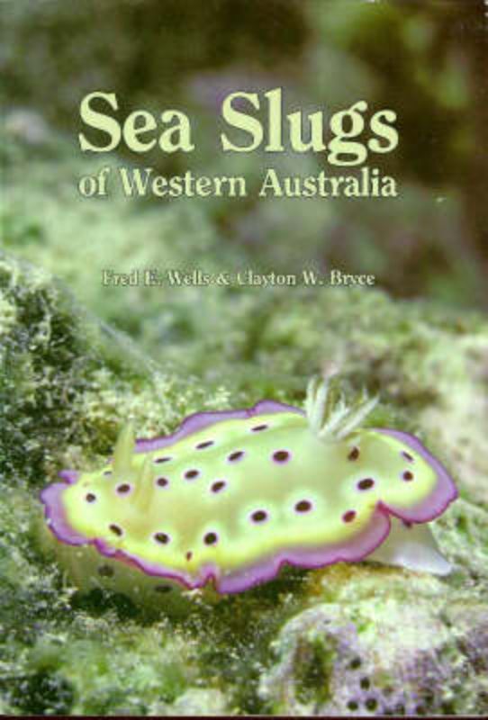 Sea Slugs of Western Australia