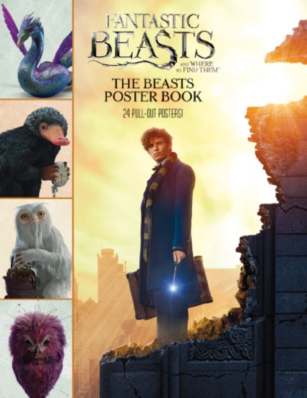 Fantastic Beasts Poster Book 2