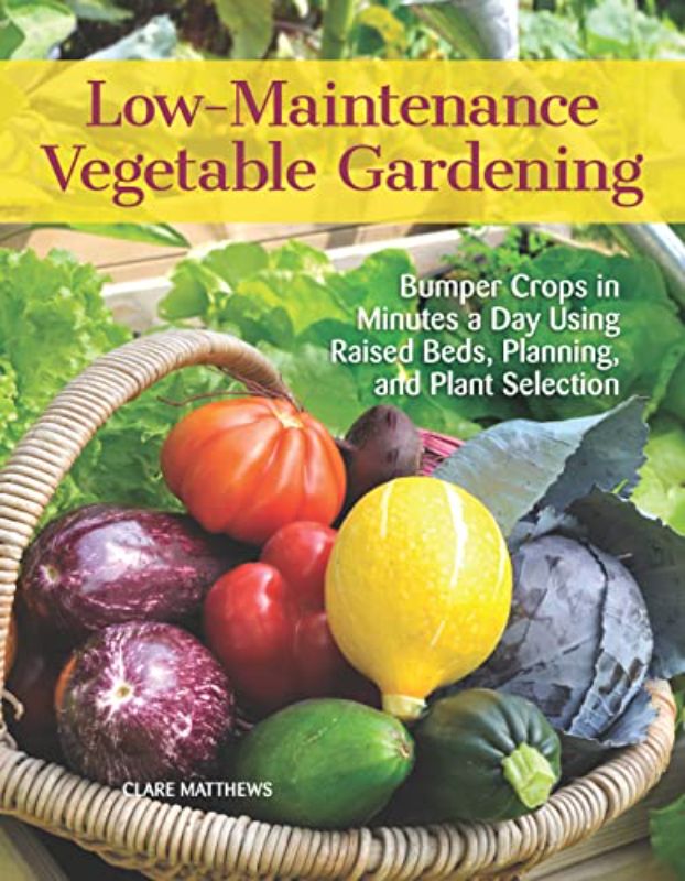 Low-Maintenance Vegetable Gardening: Bumper Crops in Minutes a Day Using Raised