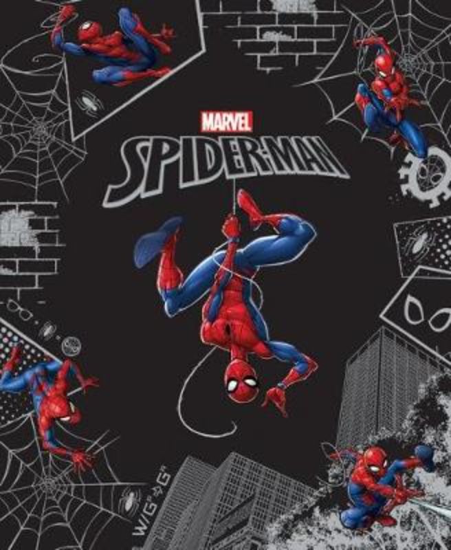 Spider-Man (Marvel: Legends Collection #2)