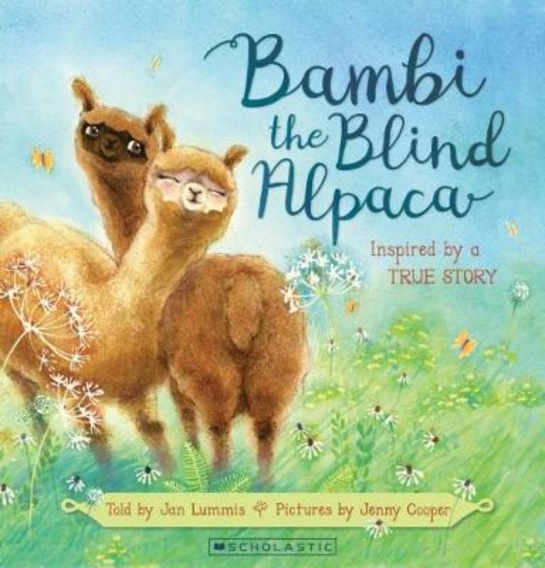 Bambi The Blind Alpaca