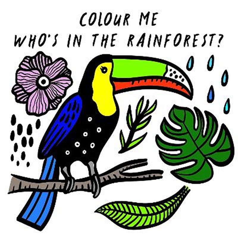 Who's in the Rainforest? (Colour Me Wee Gallery bath book)