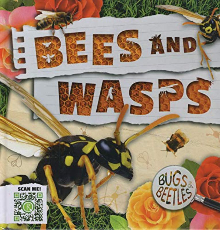 Bees and Wasps (Bugs and Beetles)