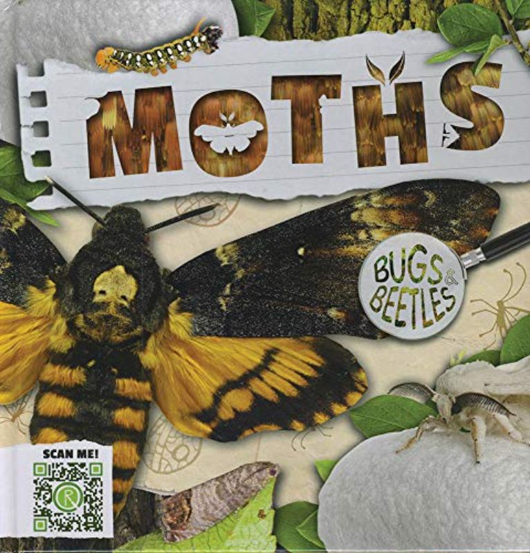 Moths