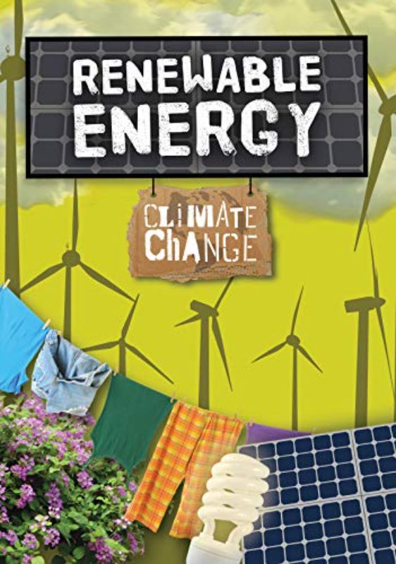 Renewable Energy (Paperback)