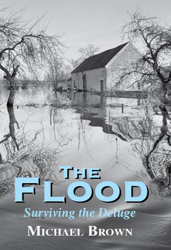 The Flood : Surviving The Deluge