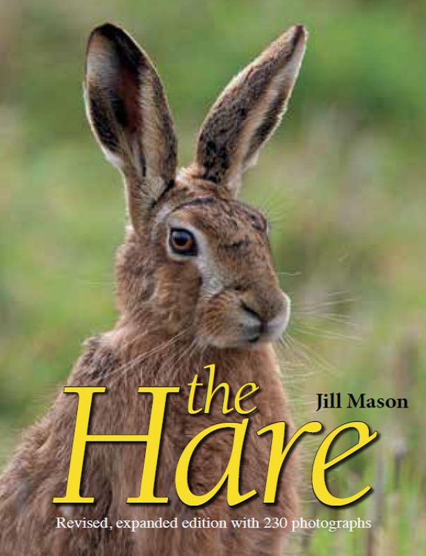 The Hare