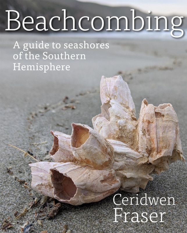 Beachcombing - A Guide to Seashores of the Southern Hemisphere