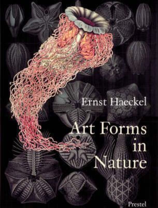 Art Forms in Nature : Prints of Ernst Haekel