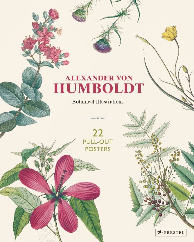 Alexander Von Humboldt Botanical Illustrations 22 Pull-Out Posters