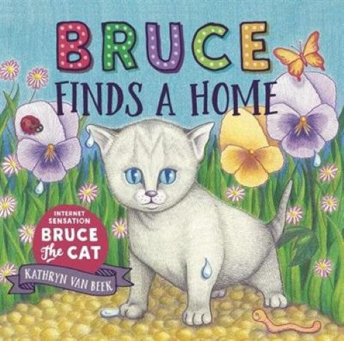 Bruce Finds A Home (Hardcover)