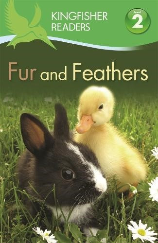 Fur and Feathers