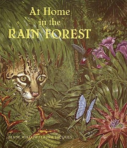 At Home in the Rain Forest