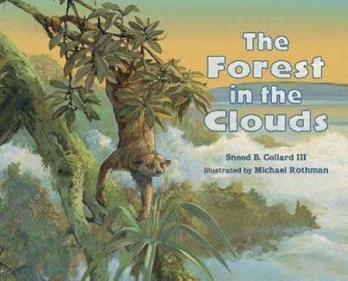 The Forest in the Clouds